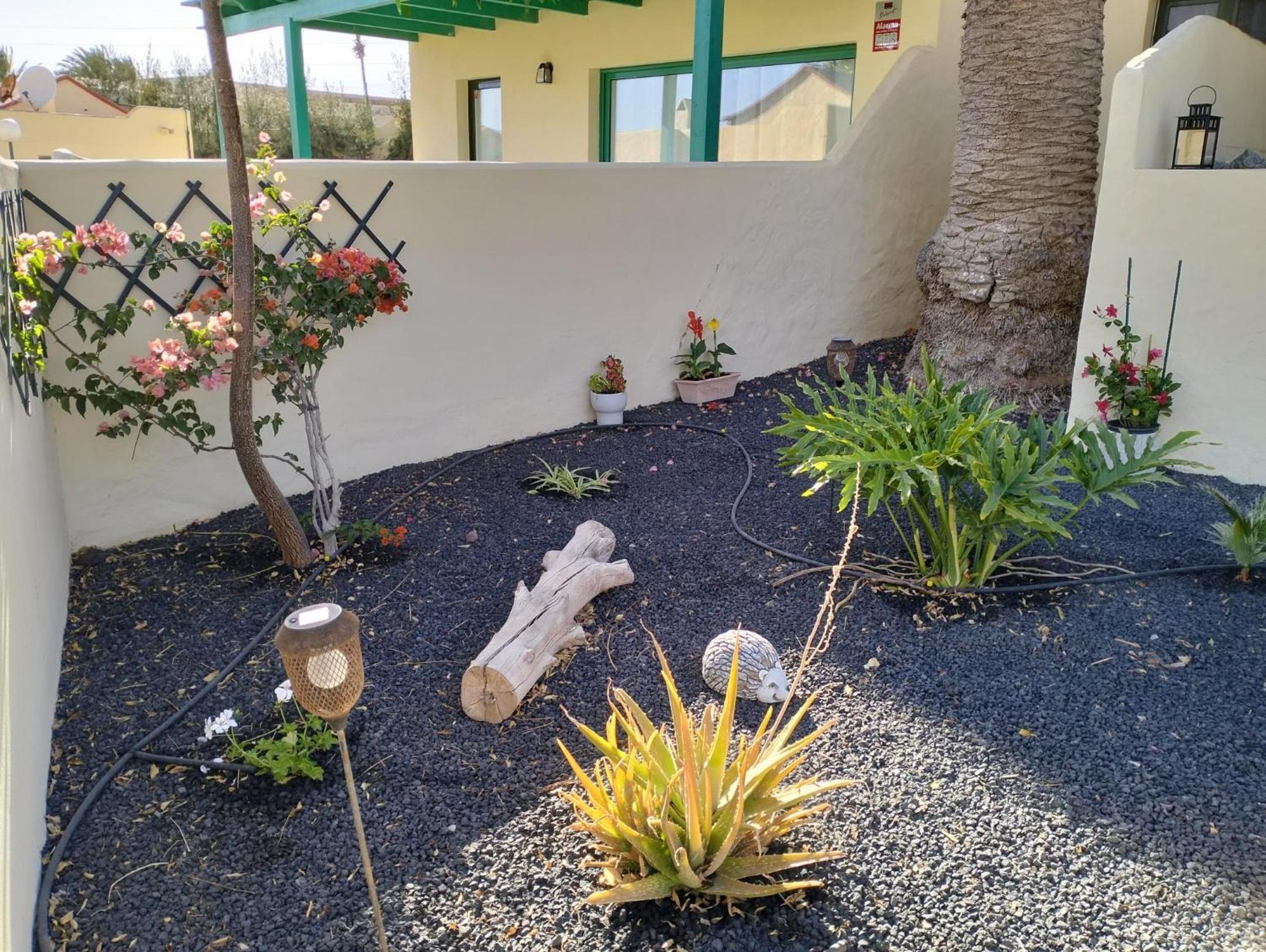 Ferienwohnung Montes Blancos Costa Calma Exterior foto